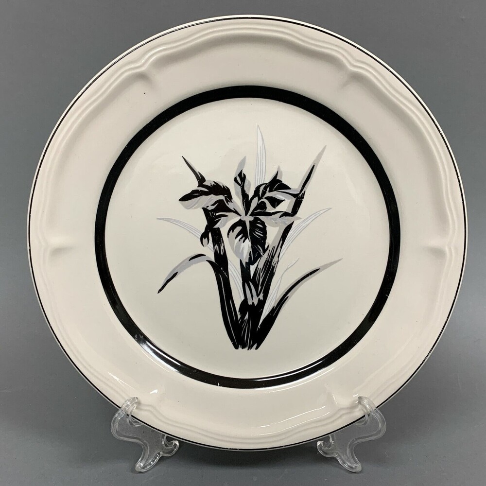 Tienshan Stoneware 10 1/2" Dinner Plate Botanical Garden? Black Gray Flower